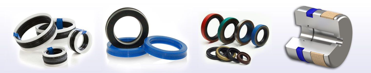 V Ring Seal at Rs 5/piece, Neck Ring Seals in New Delhi